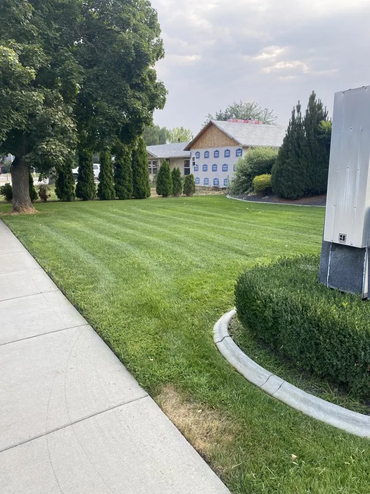 Expert yard cleanup service for homes across Caldwell, ID - AJ’s Tree Pruning & Landscaping