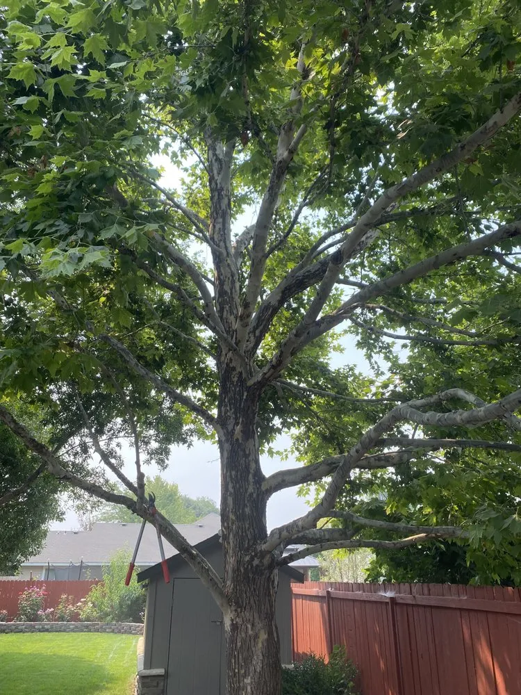 Local garden landscaping experts serving Caldwell, ID - AJ’s Tree Pruning & Landscaping