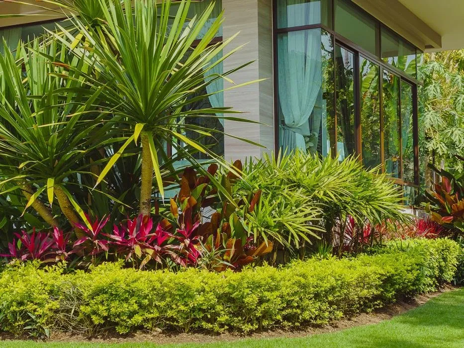 Reliable landscape design in Cartersville, GA - AJ's Tree Service and Landscaping