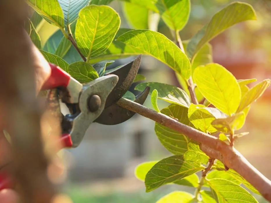 Reliable landscape installation with custom design in Cartersville, GA by AJ's Tree Service and Landscaping