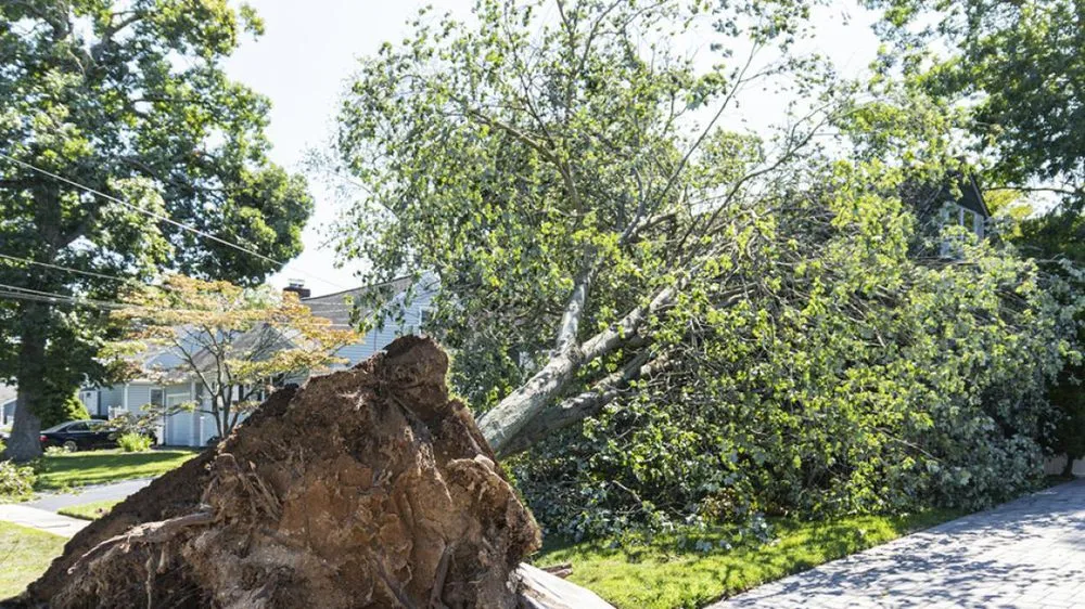 Affordable garden landscaping in Cartersville, GA by AJ's Tree Service and Landscaping