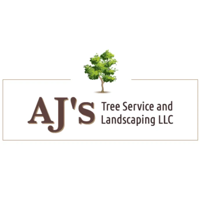 Professional yard maintenance in Cartersville, GA by AJ's Tree Service and Landscaping