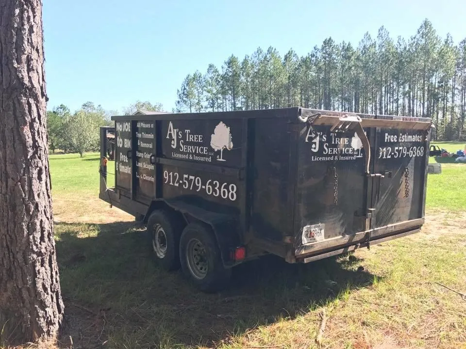Professional lawn care service experts serving Screven, GA - AJ's Tree Service