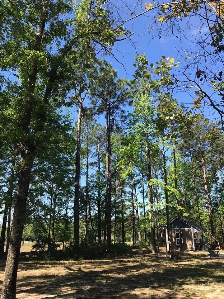 Reliable lawn mowing service for homes in Screven, GA by AJ's Tree Service