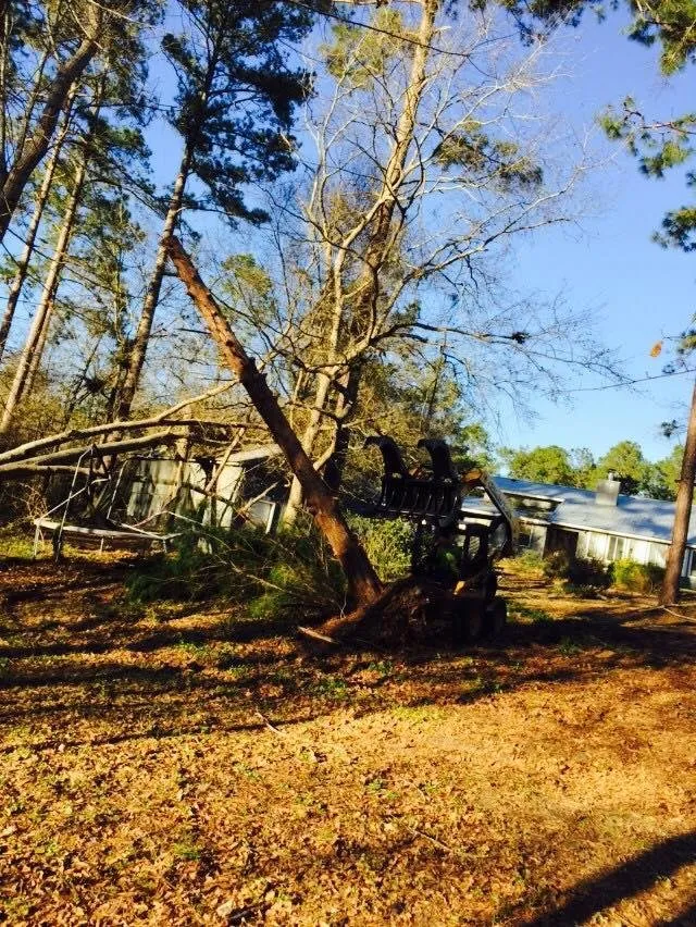 Local lawn mowing service in Screven, GA - AJ's Tree Service