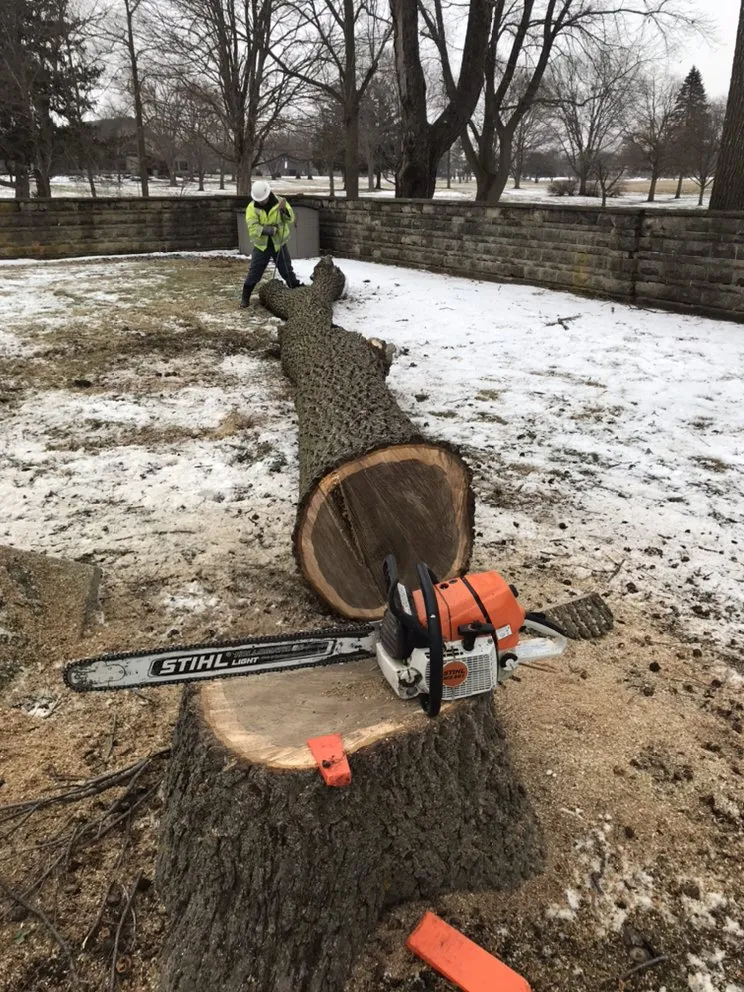 Custom yard cleanup service in Fort Wayne, IN - Aj's Turf & Tree