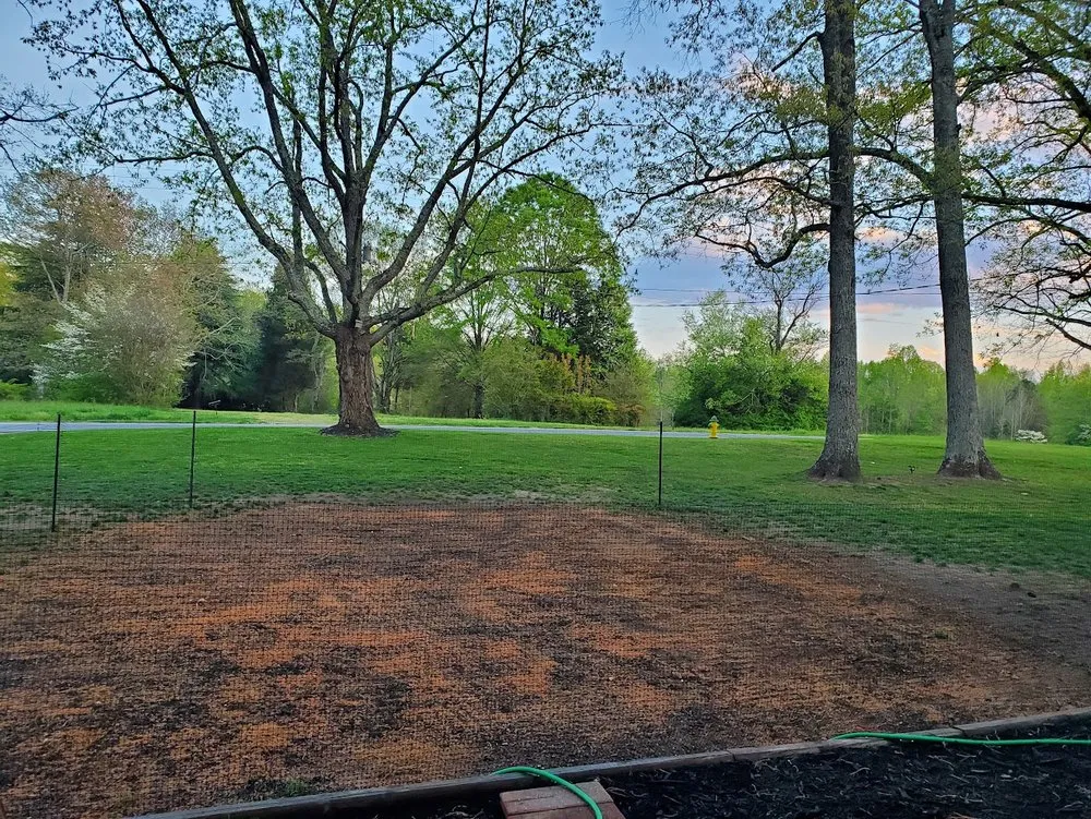 Professional lawn care service in San Antonio, TX by AJ's X-terior WorkZ