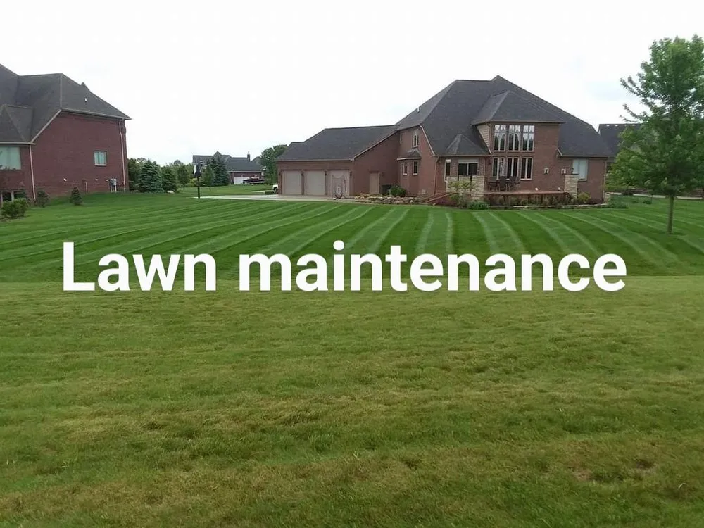 Top-rated yard cleanup service in Fair Haven, MI by AJSR Outdoor Maintenance