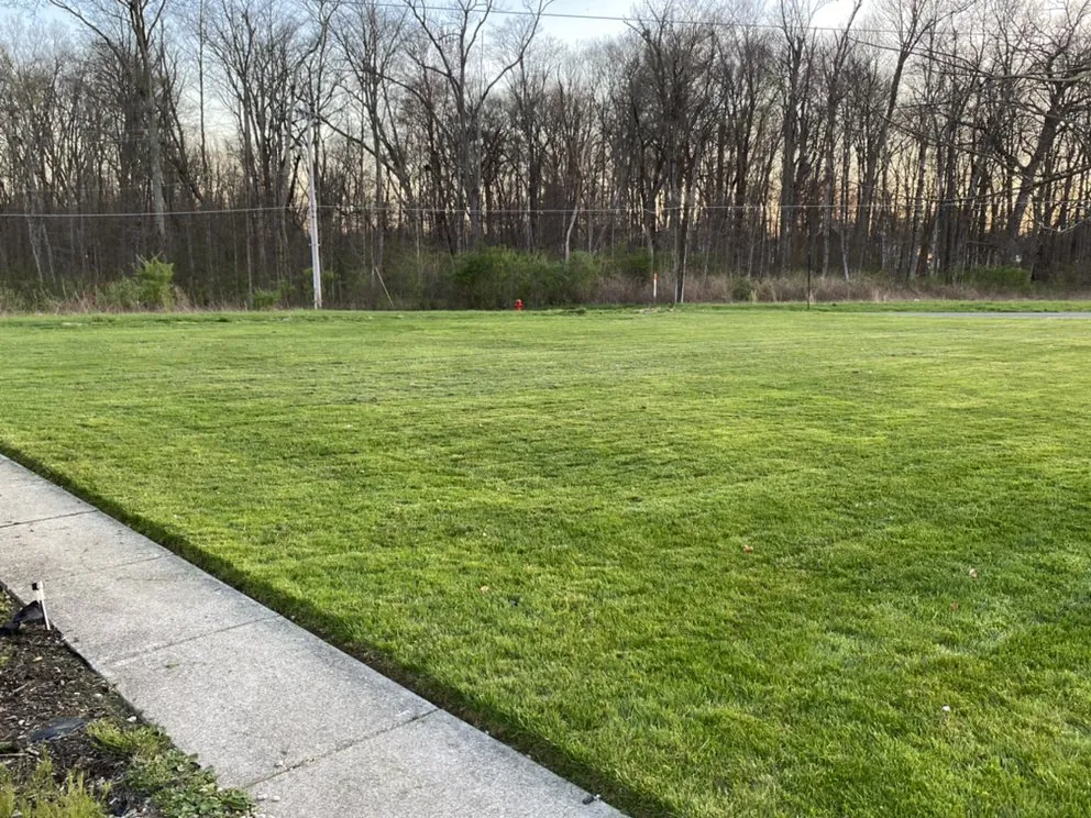 Professional lawn care service experts serving New Albany, OH - AK Enterprise