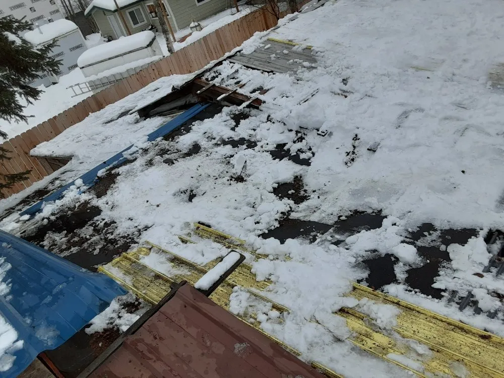 Reliable yard cleanup service in Chugiak, AK - AK Generation Rehabilitation Services