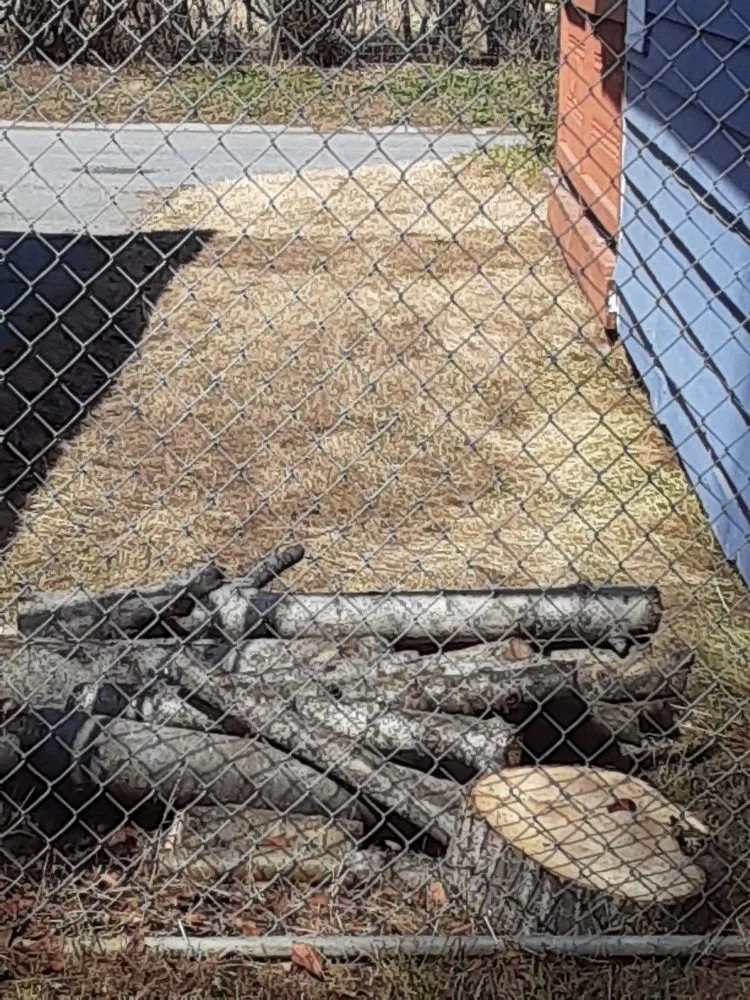 Local yard maintenance near you in Chugiak, AK by AK Generation Rehabilitation Services