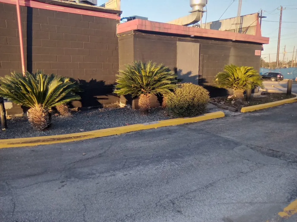 Reliable lawn care service in Houston, TX by A&K Irrigation and Lawns Services