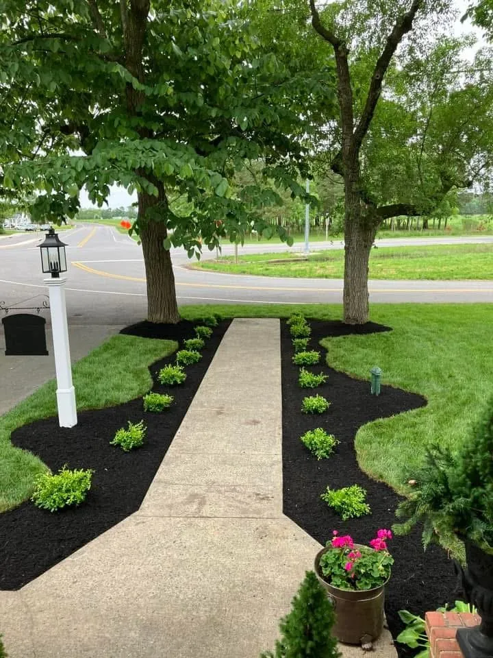 Local outdoor landscaping experts serving Cordova, MD - AK Landscape