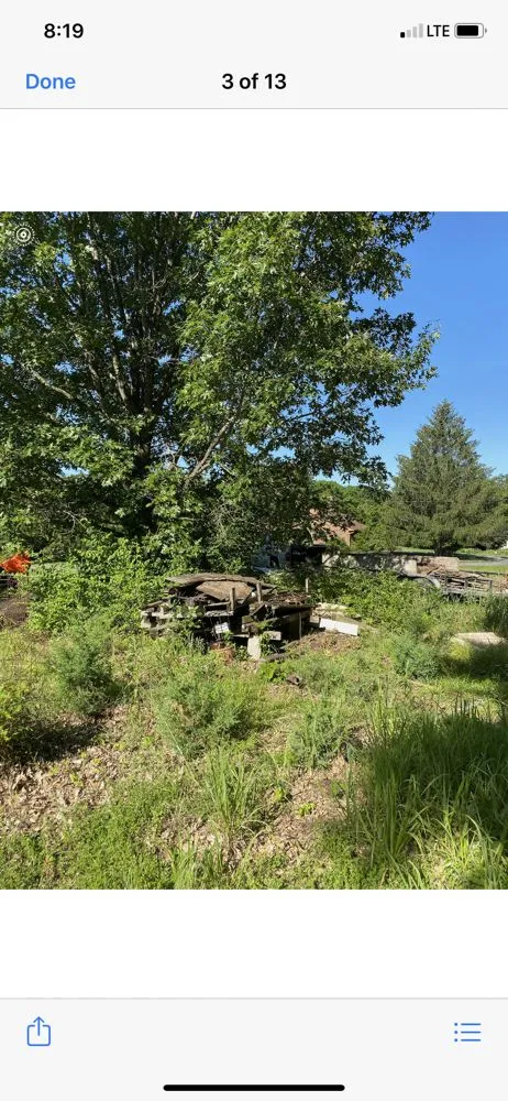 Expert lawn care service experts serving Fayette, MO - AK Landscaping and Handyman Services