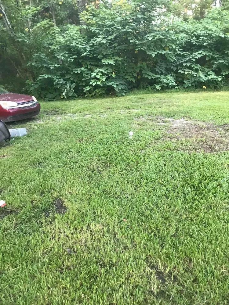 Local yard maintenance for outdoor upgrades in Jacksonville, FL by A&k Landscaping