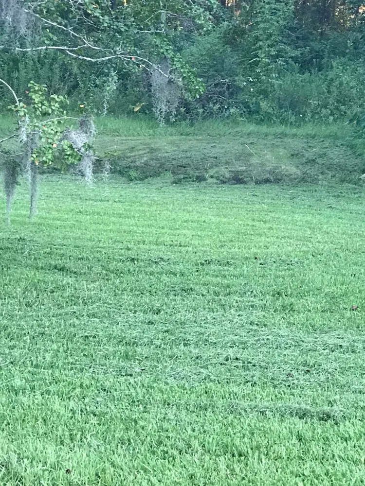 Local landscaping services in Jacksonville, FL by A&k Landscaping