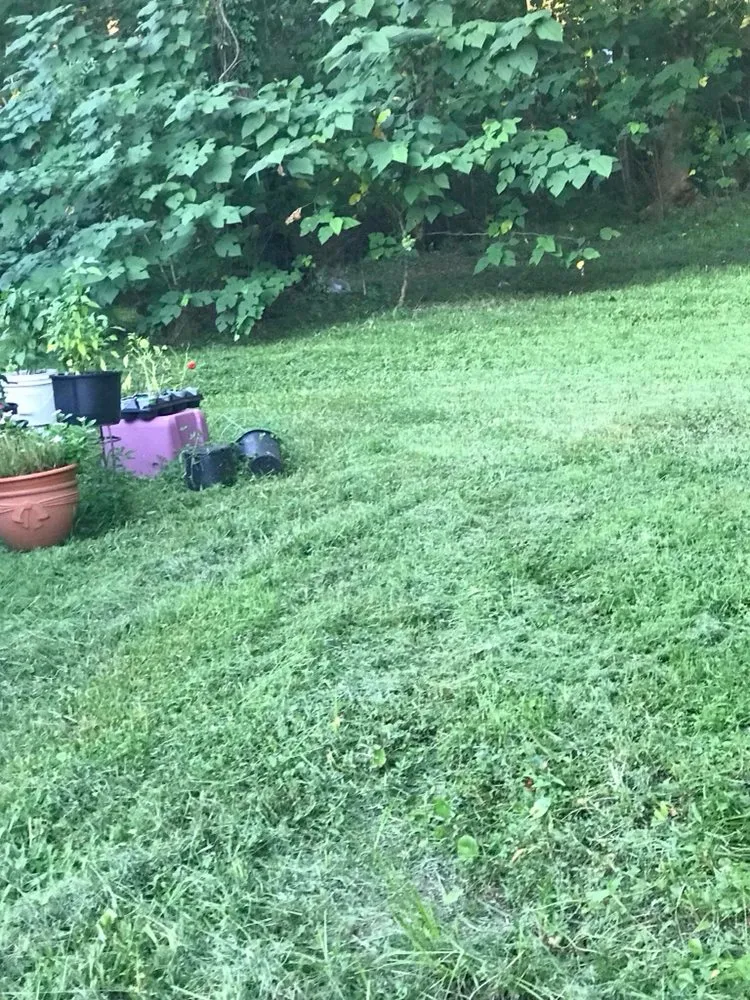 Affordable landscape installation in Jacksonville, FL by A&k Landscaping