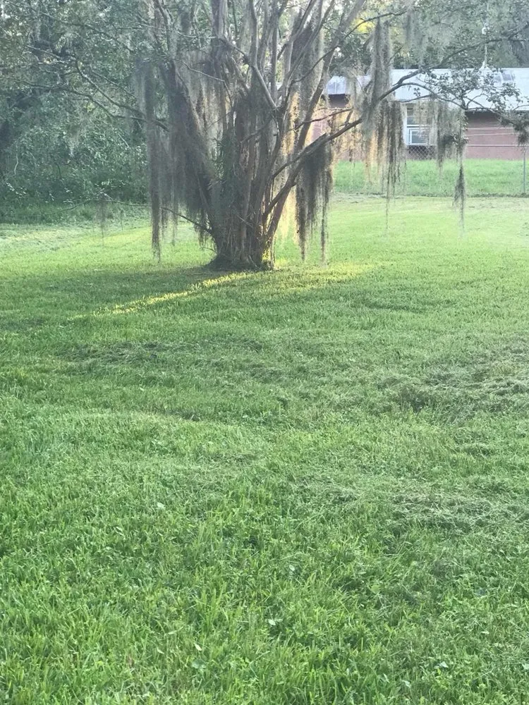 Trusted yard cleanup service in Jacksonville, FL by A&k Landscaping