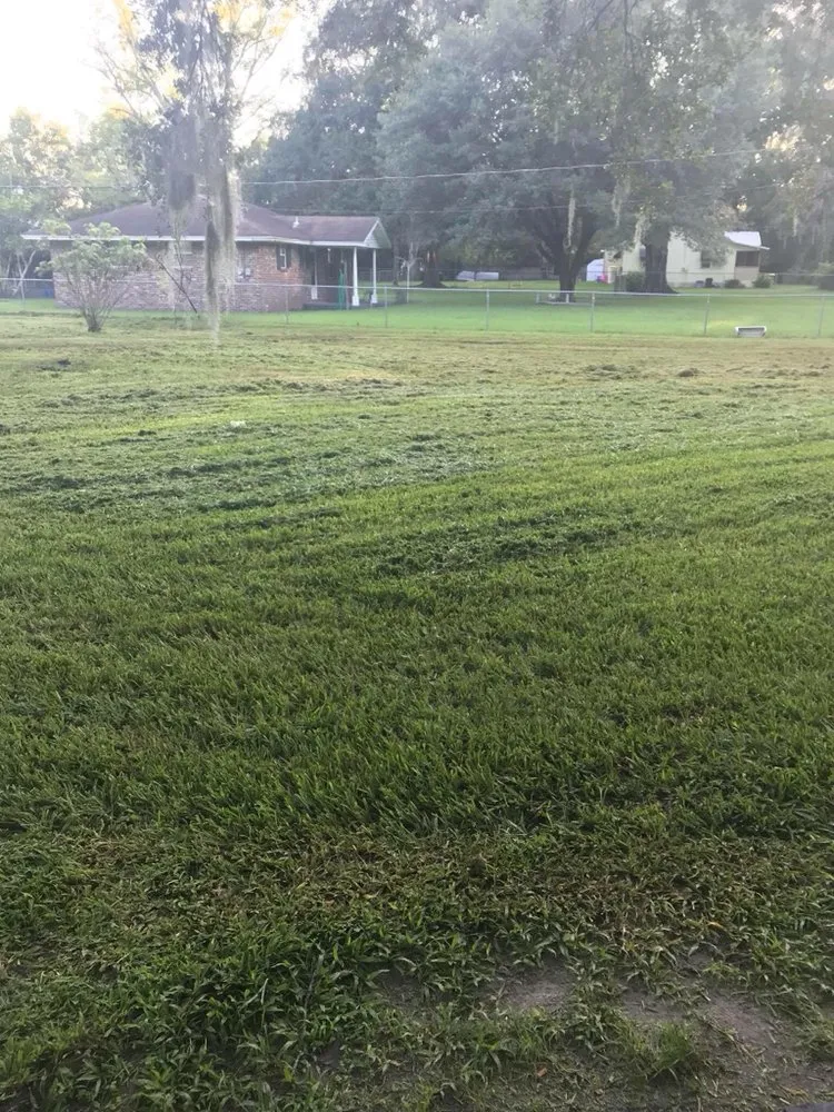 Custom lawn mowing service for residential properties in Jacksonville, FL by A&k Landscaping