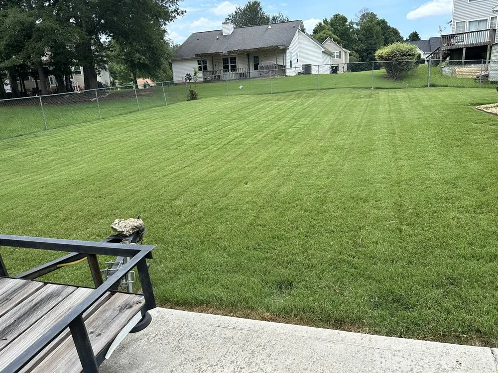 Professional lawn care service near you in Jonesboro, GA by AK Lawn & Commercial Cleaning