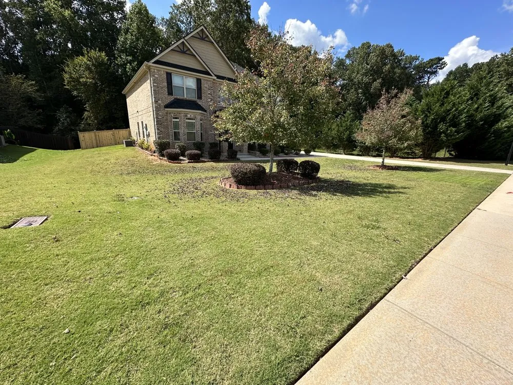 Local yard maintenance for beautiful yards across Jonesboro, GA - AK Lawn & Commercial Cleaning