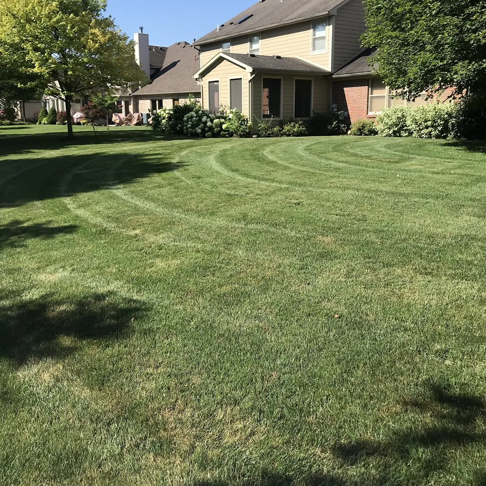 Local yard cleanup service for year-round maintenance across Dayton, OH - AK Lawn & Landscape