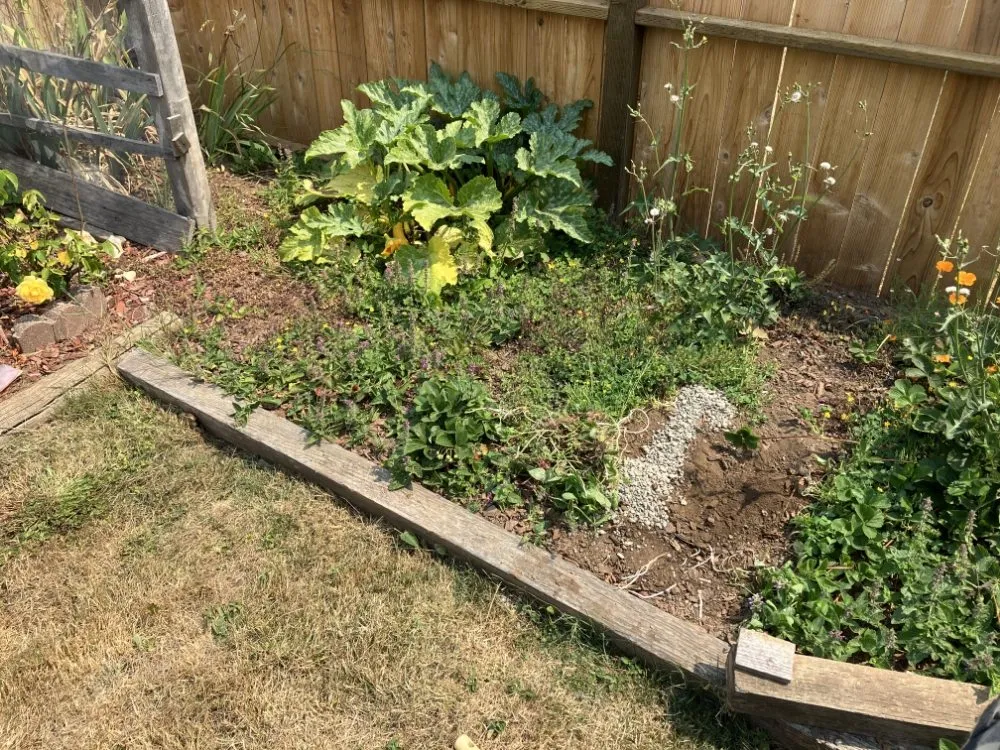 Reliable lawn care service for residential properties across McKinleyville, CA - A&K Lawn & Tree Care