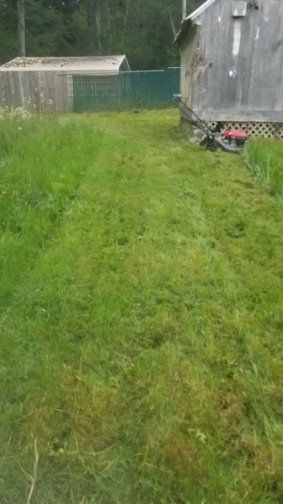 Custom residential landscaping in McKinleyville, CA by A&K Lawn & Tree Care