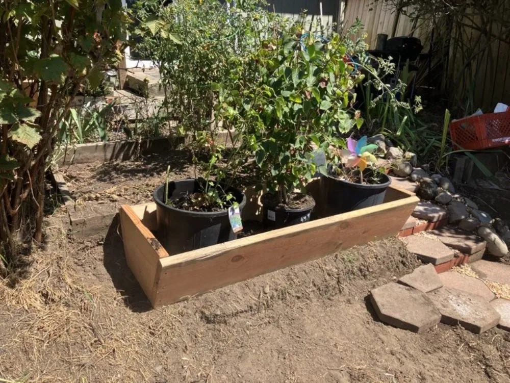 Affordable landscape design for homes in McKinleyville, CA by A&K Lawn & Tree Care