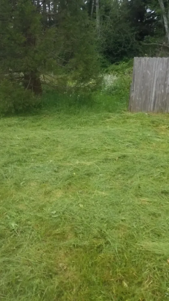 Expert landscape design in McKinleyville, CA by A&K Lawn & Tree Care