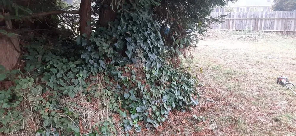 Custom outdoor landscaping with custom design in McKinleyville, CA by A&K Lawn & Tree Care