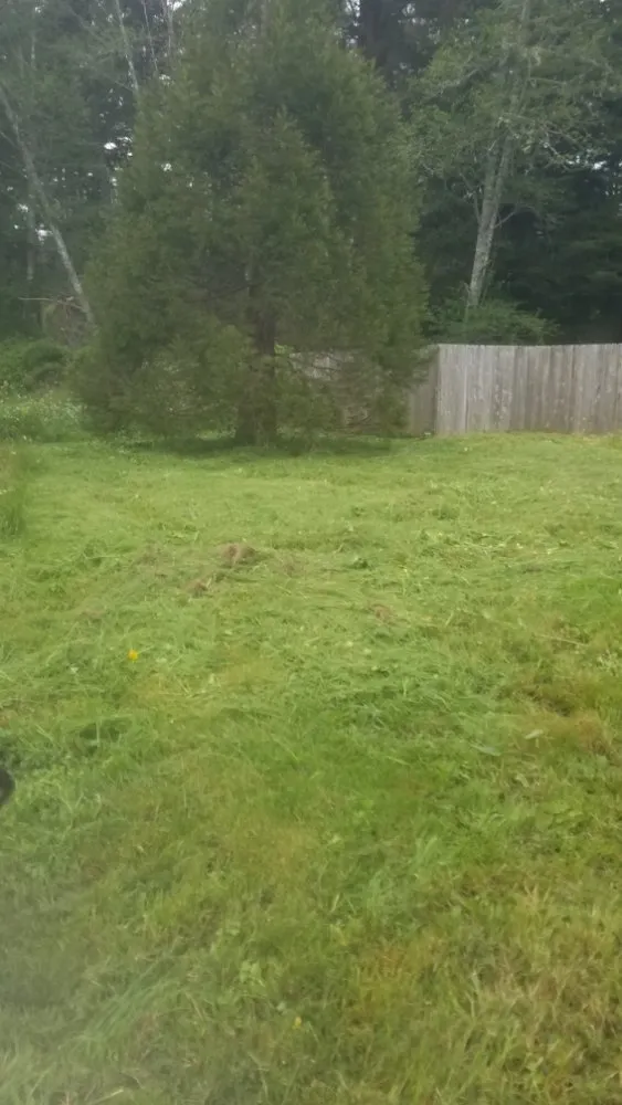 Trusted outdoor landscaping in McKinleyville, CA by A&K Lawn & Tree Care