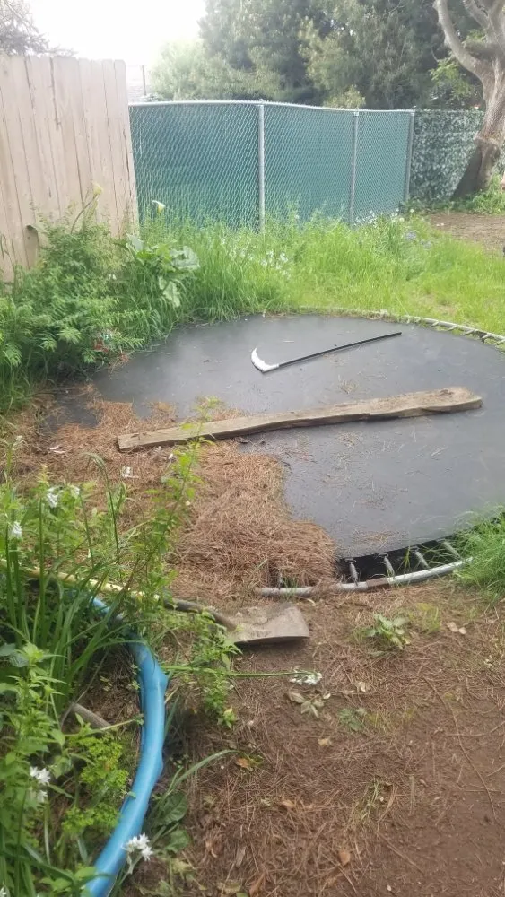 Custom lawn care service for homes across McKinleyville, CA - A&K Lawn & Tree Care