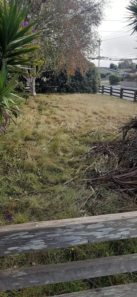 Local yard maintenance experts serving McKinleyville, CA - A&K Lawn & Tree Care