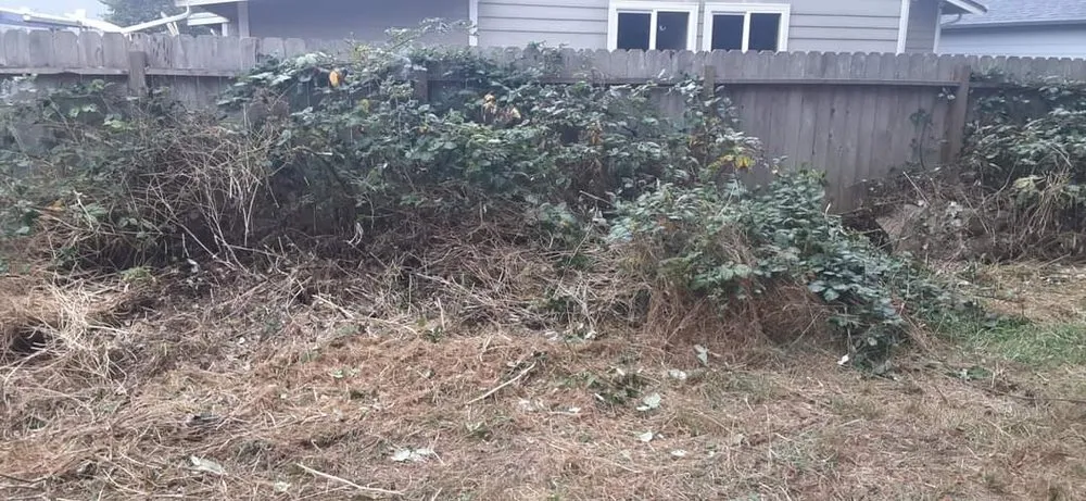 Affordable landscape design for year-round maintenance across McKinleyville, CA - A&K Lawn & Tree Care