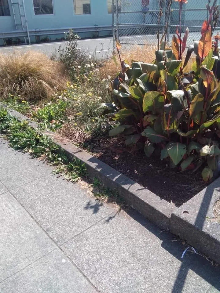 Trusted landscape design in McKinleyville, CA by A&K Lawn & Tree Care