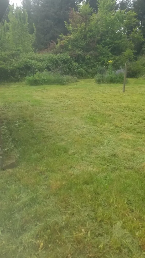 Professional landscaping services in McKinleyville, CA - A&K Lawn & Tree Care