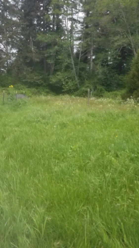 Affordable residential landscaping in McKinleyville, CA by A&K Lawn & Tree Care