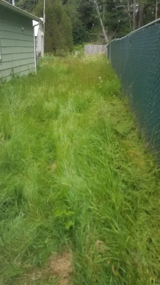 Trusted yard maintenance for outdoor upgrades in McKinleyville, CA by A&K Lawn & Tree Care