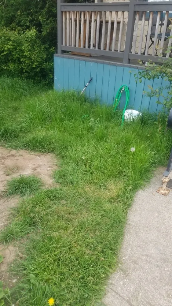 Custom residential landscaping with custom design in McKinleyville, CA by A&K Lawn & Tree Care