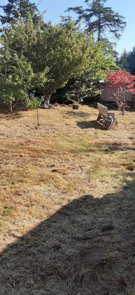 Expert residential landscaping experts serving McKinleyville, CA - A&K Lawn & Tree Care