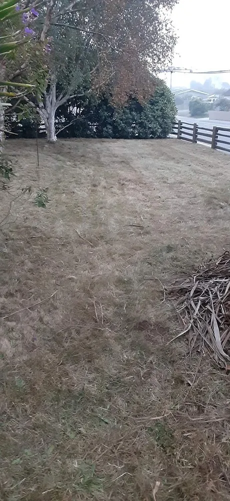 Top-rated yard maintenance for residential properties in McKinleyville, CA by A&K Lawn & Tree Care