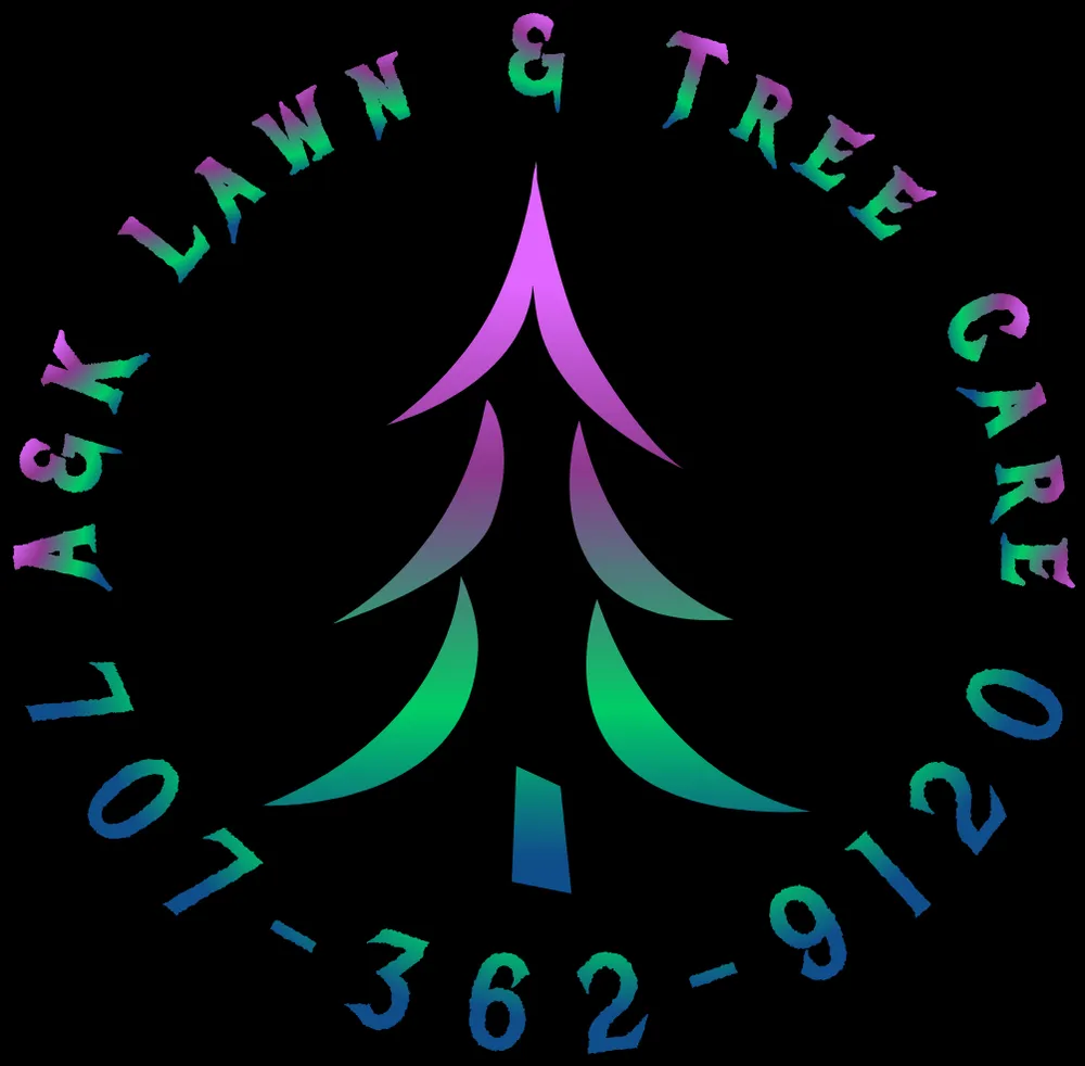 Professional yard cleanup service for homes in McKinleyville, CA by A&K Lawn & Tree Care