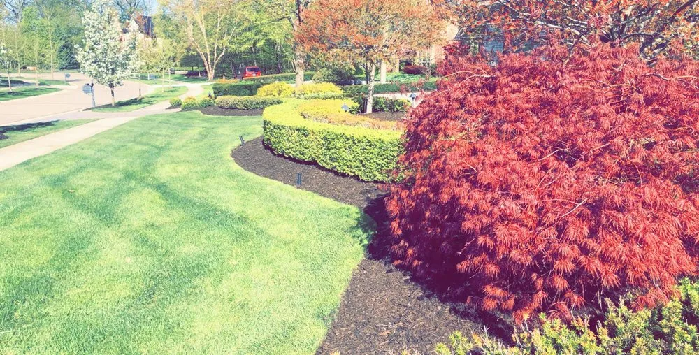 Top-rated lawn mowing service for year-round maintenance across Milan, MI - AK Lawn Care