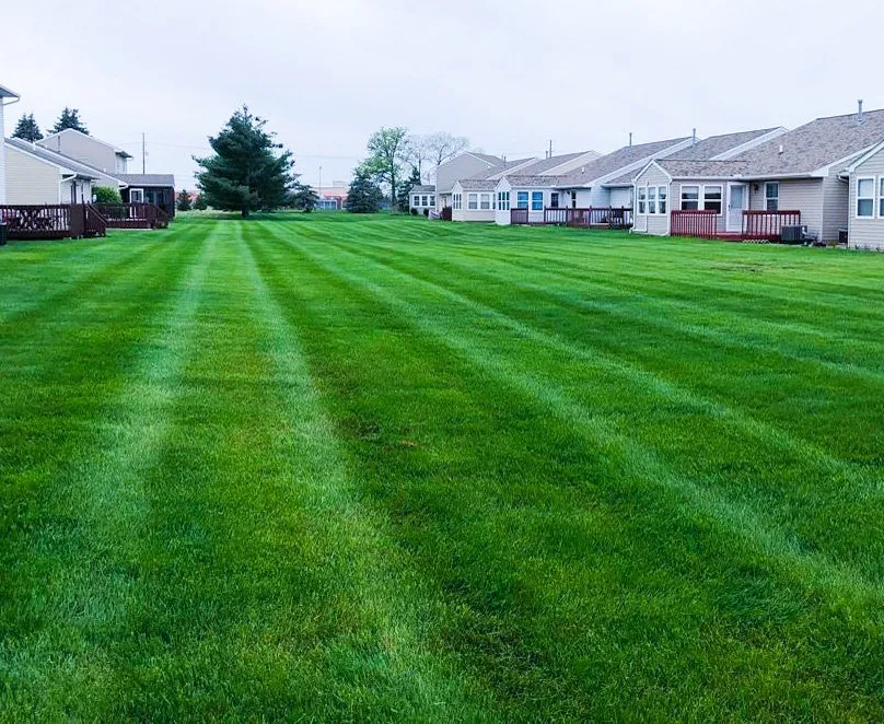 Reliable landscape design for homes in Milan, MI by AK Lawn Care