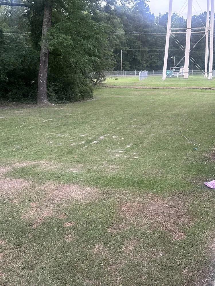 Custom yard maintenance in Hampton, AR - A&K Lawn Care Service