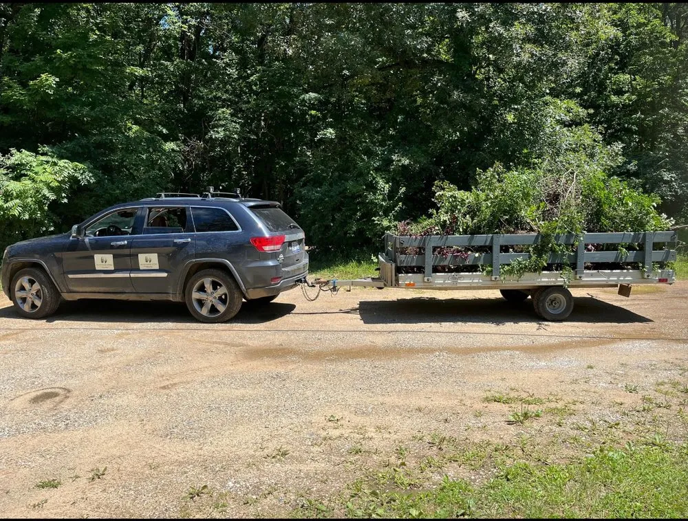 Trusted yard maintenance for residential properties across Niles, MI - AK Outdoor Living