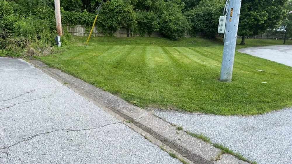 Expert yard cleanup service in Caseyville, IL - A&K Outdoor Services