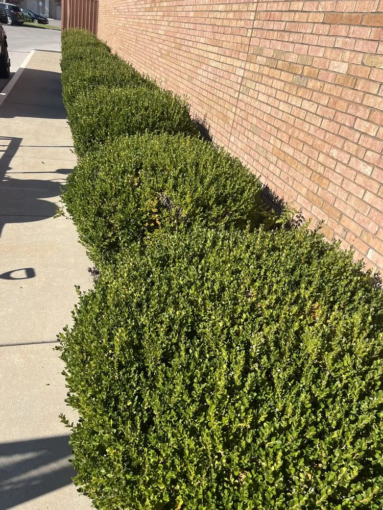 Trusted outdoor landscaping in Caseyville, IL by A&K Outdoor Services