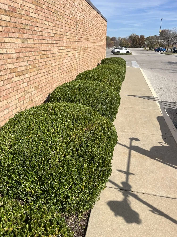 Professional lawn mowing service in Caseyville, IL by A&K Outdoor Services